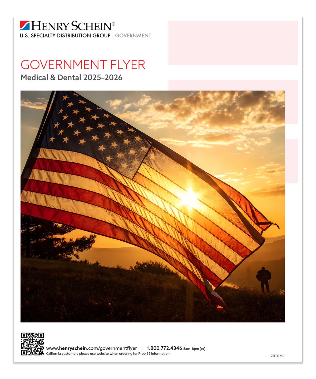 Government Flyer