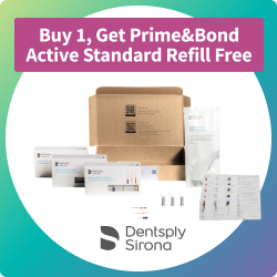 Dentsply Sirona Coronal Seal Kit